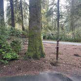 Review photo of Fort Stevens State Park Campground by Teresa A., December 29, 2025