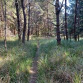 Review photo of Fort Stevens State Park Campground by Marty P., September 21, 2024