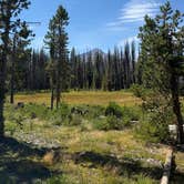 Review photo of Fourmile Lake Campground by Heather E., September 2, 2025