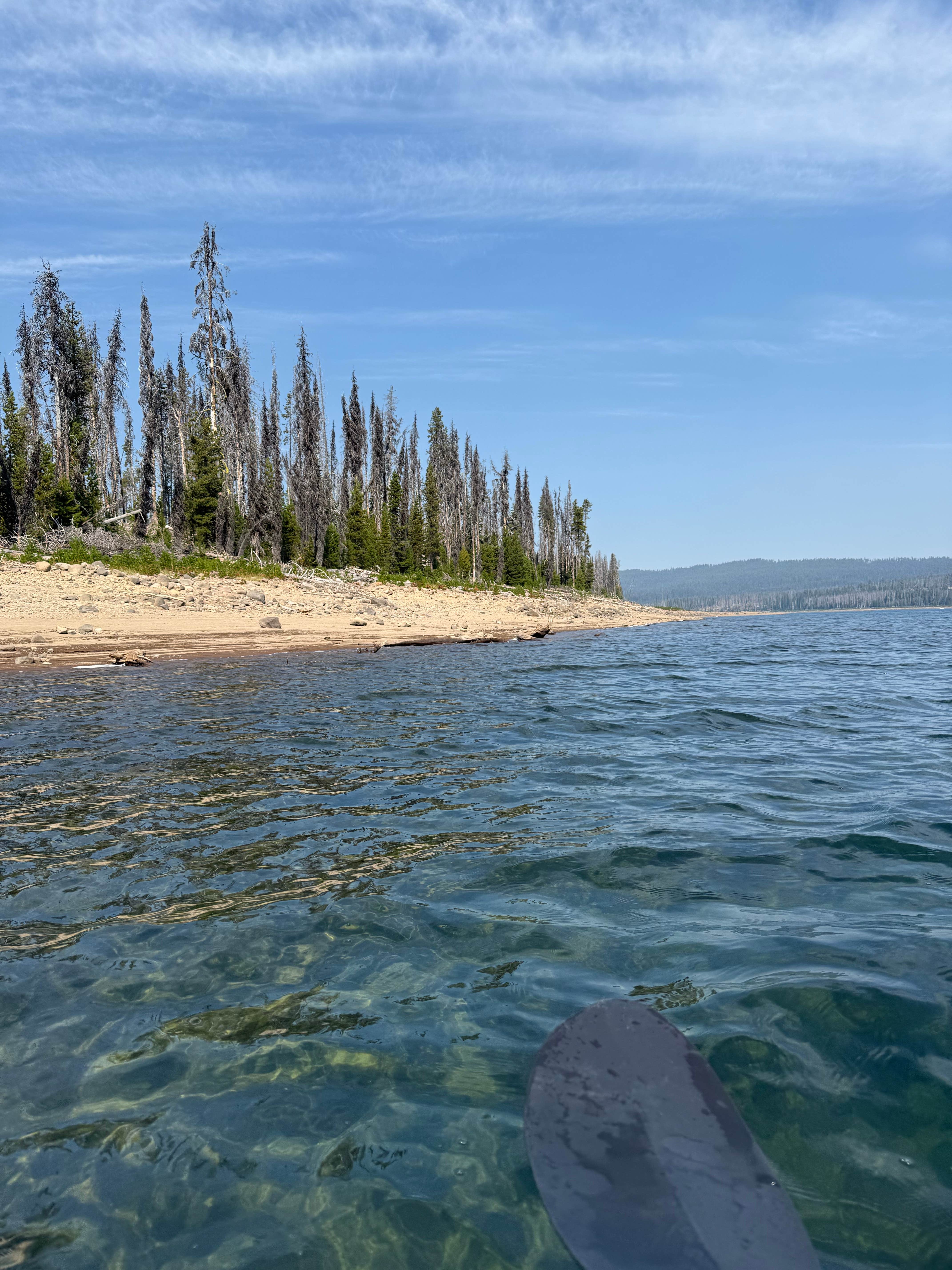 Camper submitted image from Fourmile Lake Campground - 3