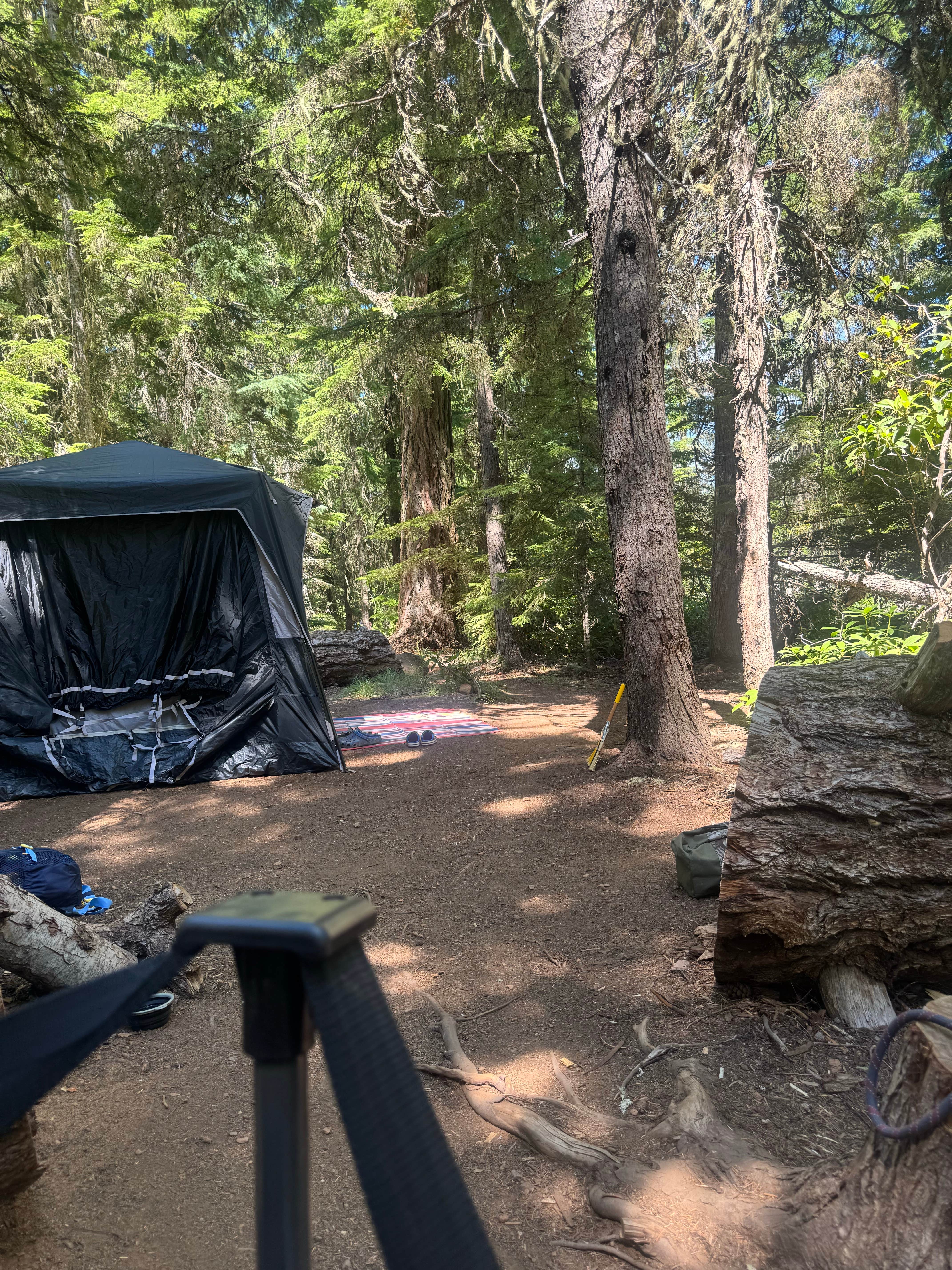 Ruben O.'s photo at Gone Creek near Mt. Hood National Forest