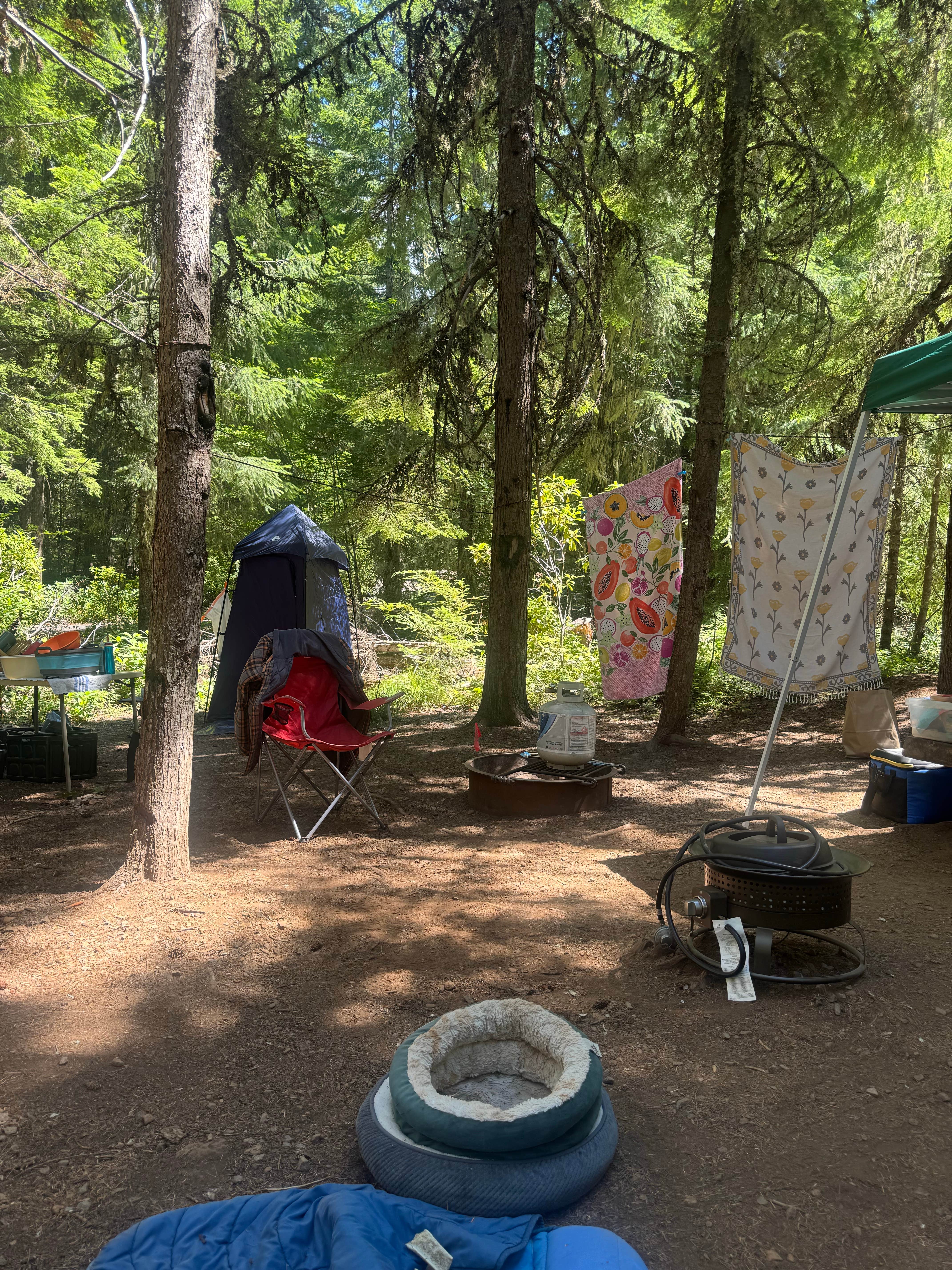 Camper-submitted photo at Gone Creek near Mt. Hood National Forest