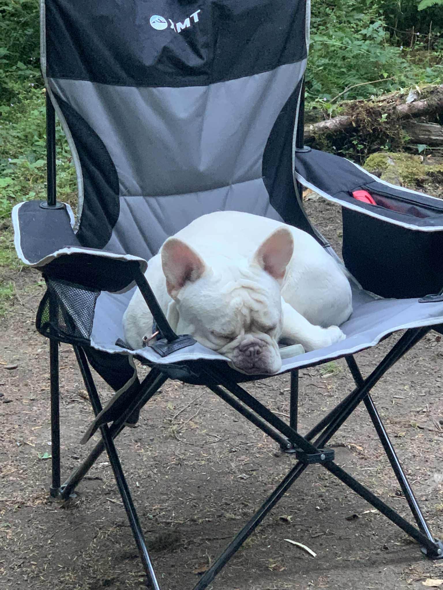S. Renae M.'s photo of camping with pets at Green Canyon near Sandy, OR