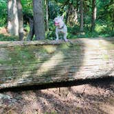 Review photo of Green Canyon by S. Renae M., September 29, 2025