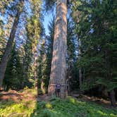 Review photo of Hamaker by Parker L., October 15, 2026