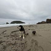 Review photo of Harris Beach State Park Campground by Cable A., October 20, 2025