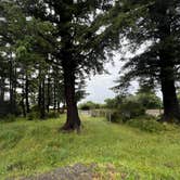 Review photo of Harris Beach State Park Campground by Charlie B., June 9, 2024