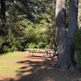 Review photo of Harris Beach State Park Campground by Stanislav , October 7, 2025
