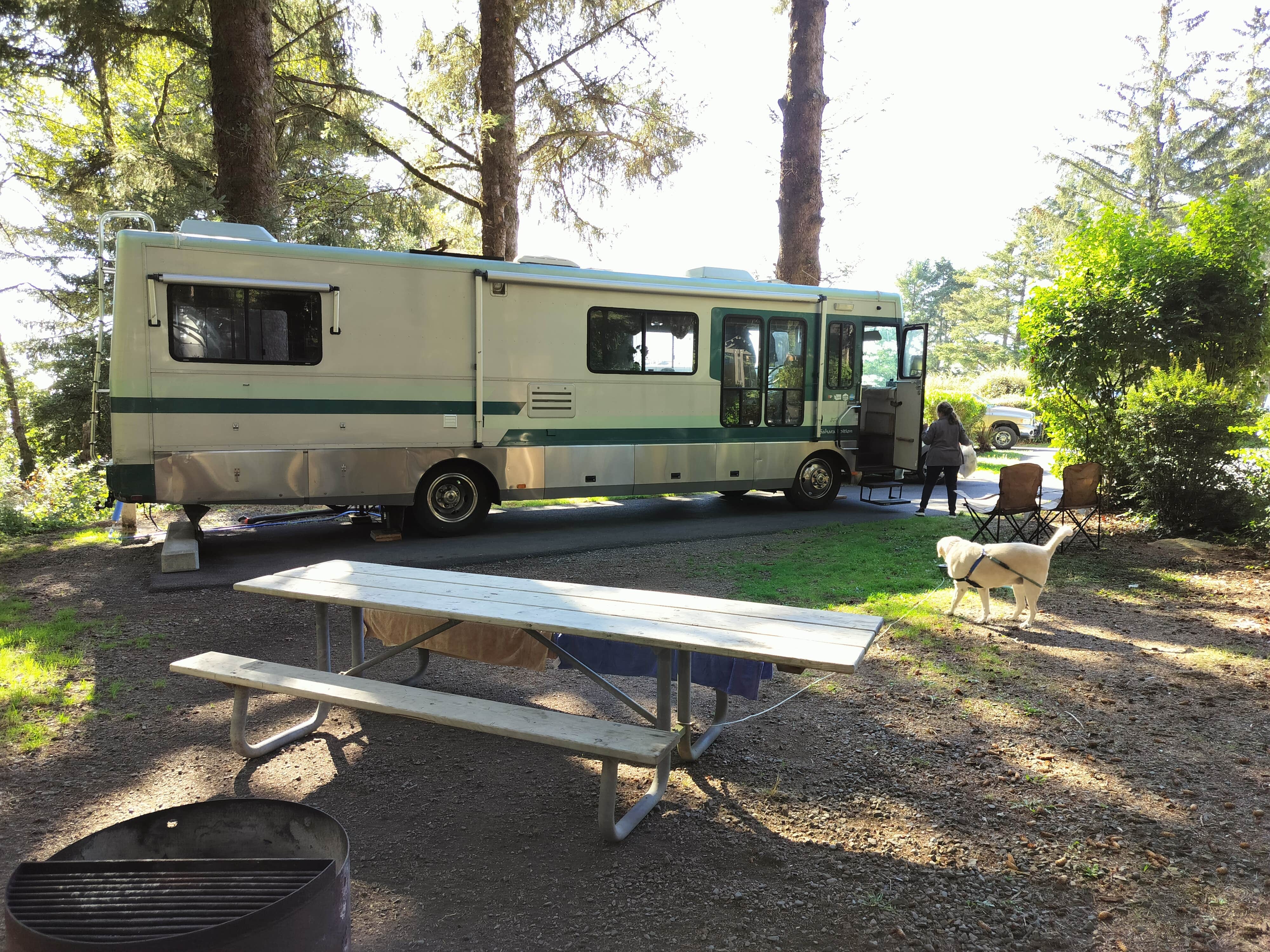 Scott A.'s photo of camping with pets at Harris Beach State Park Campground near Smith River, CA