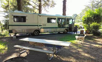 Scott A.'s photo of camping with pets at Harris Beach State Park Campground near Brookings, OR
