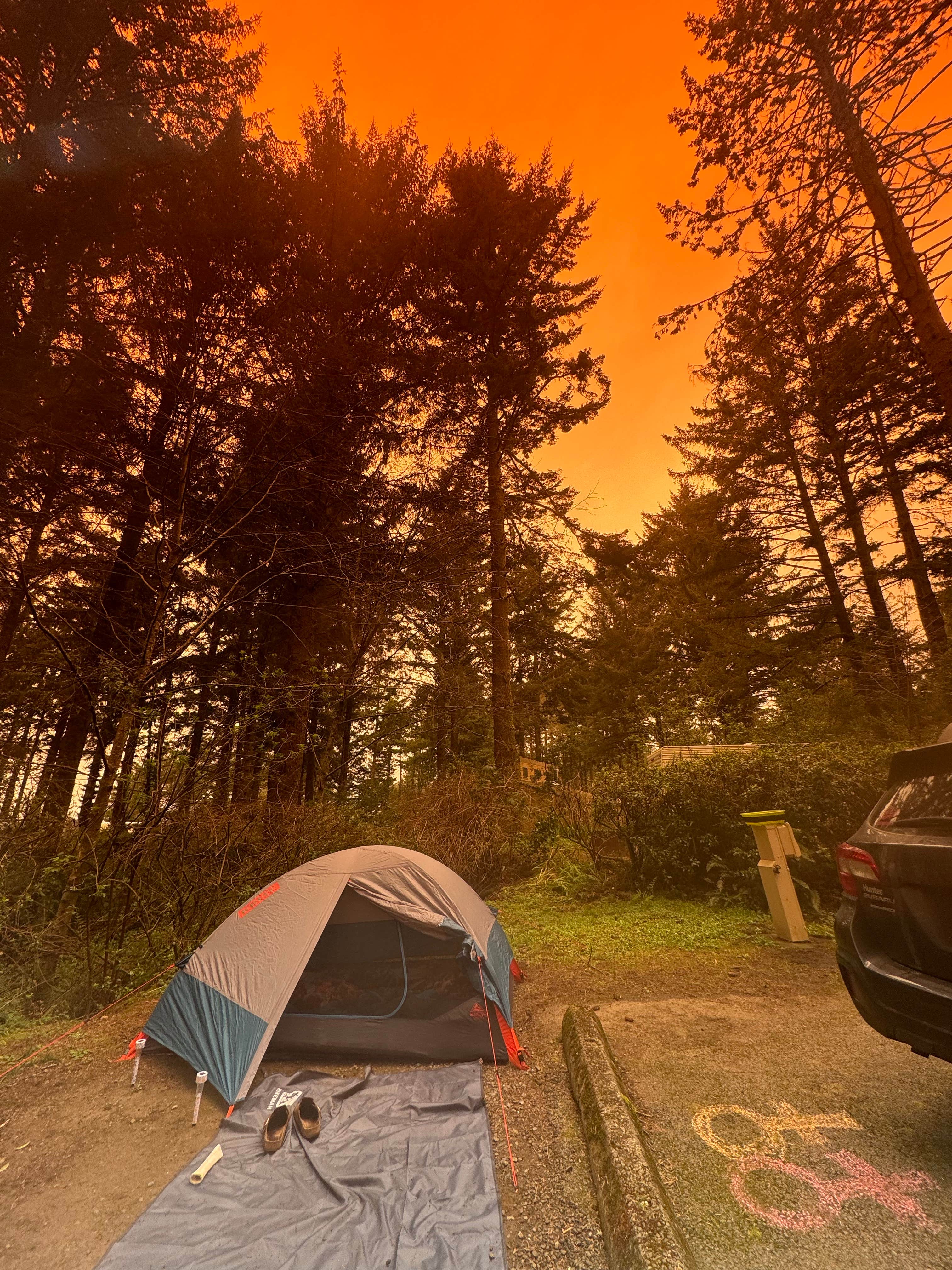 Jackie  H.'s photo at Harris Beach State Park Campground near Brookings, OR
