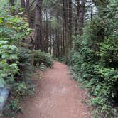 Review photo of Harris Beach State Park Campground by Heather E., September 17, 2025