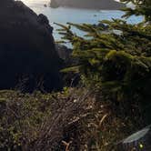Review photo of Harris Beach State Park Campground by Meredith M., October 3, 2026