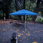 Review photo of Harris Beach State Park Campground by Cable A., October 20, 2025