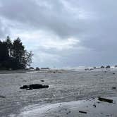 Review photo of Harris Beach State Park Campground by ismael P., April 4, 2025