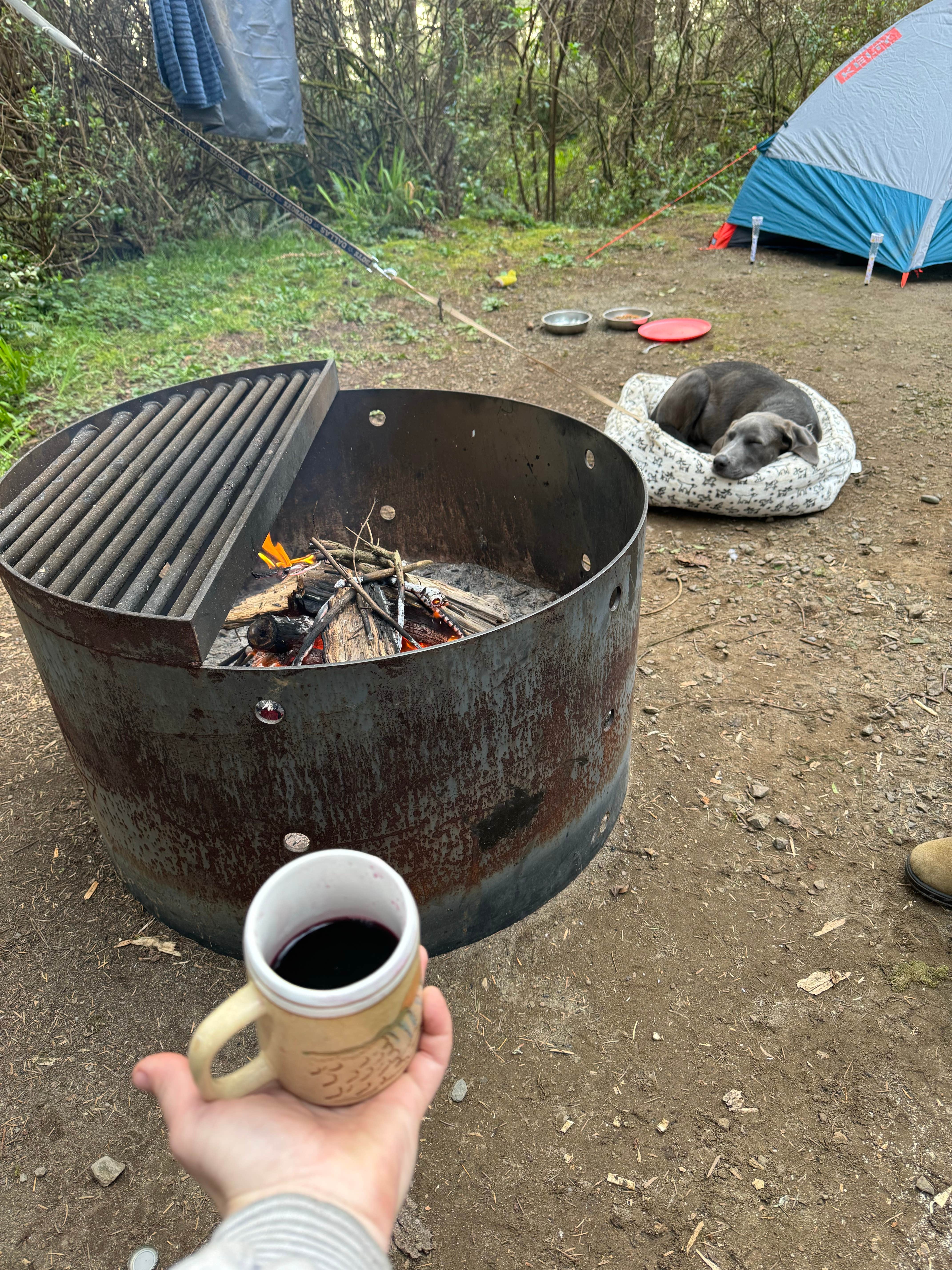 Jackie  H.'s photo of camping with pets at Harris Beach State Park Campground near Brookings, OR