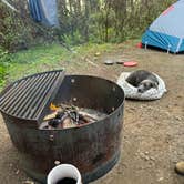 Review photo of Harris Beach State Park Campground by Jackie  H., July 3, 2024