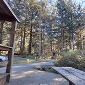 Review photo of Harris Beach State Park Campground by Max , January 25, 2026