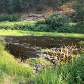 Review photo of Hilgard Junction State Park Campground by Michele R., July 29, 2026
