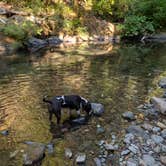 Review photo of Hobo Camp Campground by Casey B., August 31, 2026