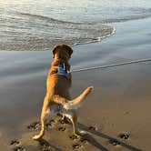 Review photo of Horsfall Beach by Paula S., July 30, 2026