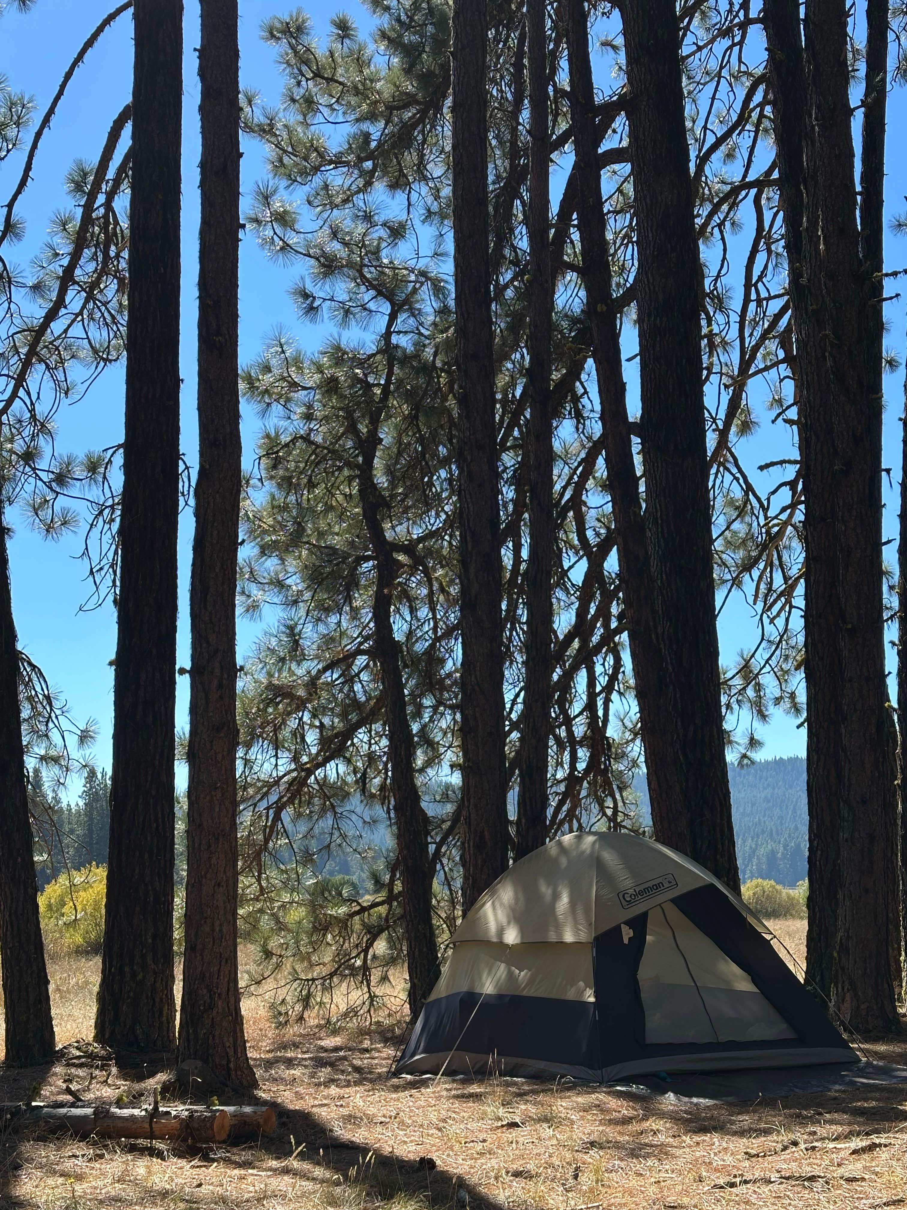 Camping near Jackson County Howard Prairie Lake Resort: Lily Glen Horse Camp - Howard Prairie Lake, Ashland, Oregon