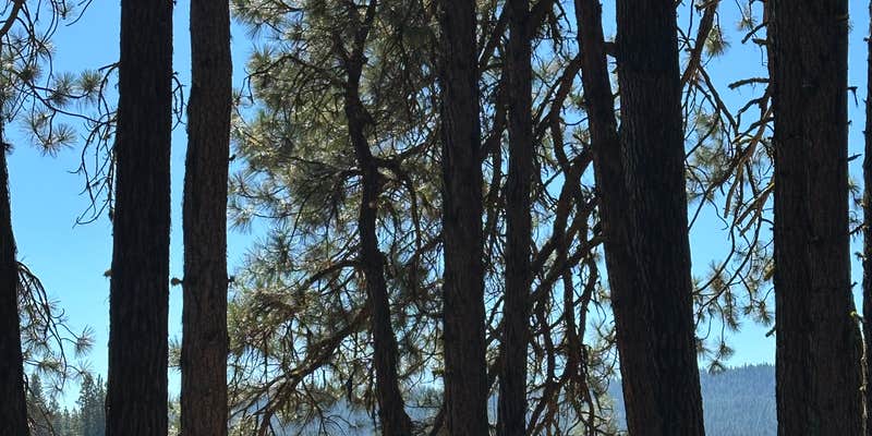 Camper submitted image from Lily Glen Horse Camp - Howard Prairie Lake