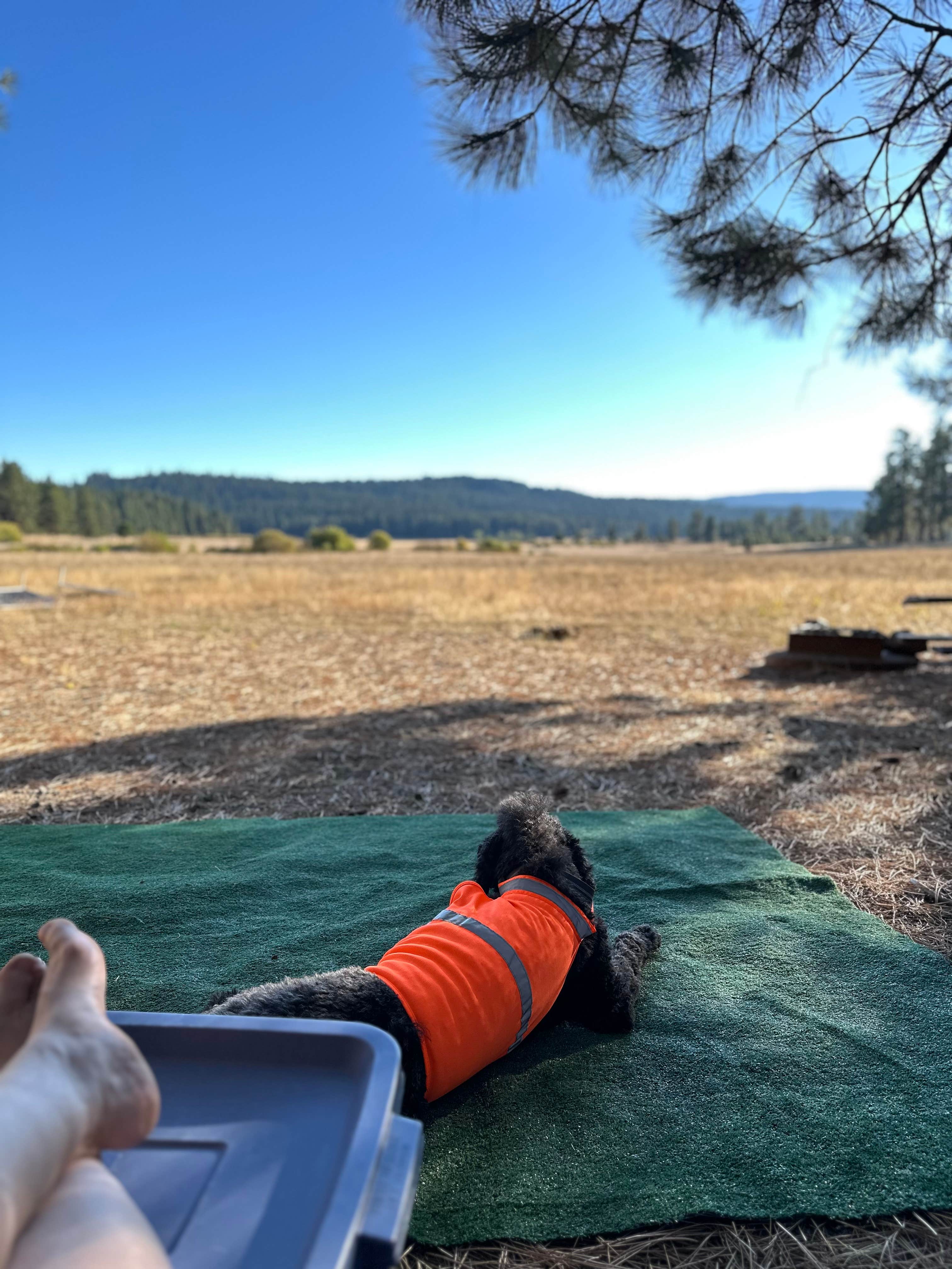 Camper-submitted photo at Lily Glen Horse Camp - Howard Prairie Lake near Chiloquin, OR