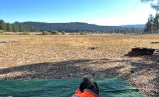 D D.'s photo of camping with pets at Lily Glen Horse Camp - Howard Prairie Lake near Medford, OR