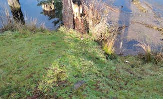 Ryan W.'s photo of camping with pets at Hult Pond near Springfield, OR