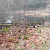 Review photo of Hult Pond by Ryan W., January 12, 2026