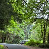Review photo of Hult Pond by Dax S., July 24, 2025