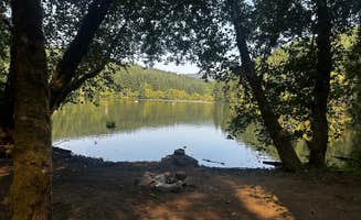 Aaron's photo of a dispersed camping area at Hult Pond near Corvallis, OR