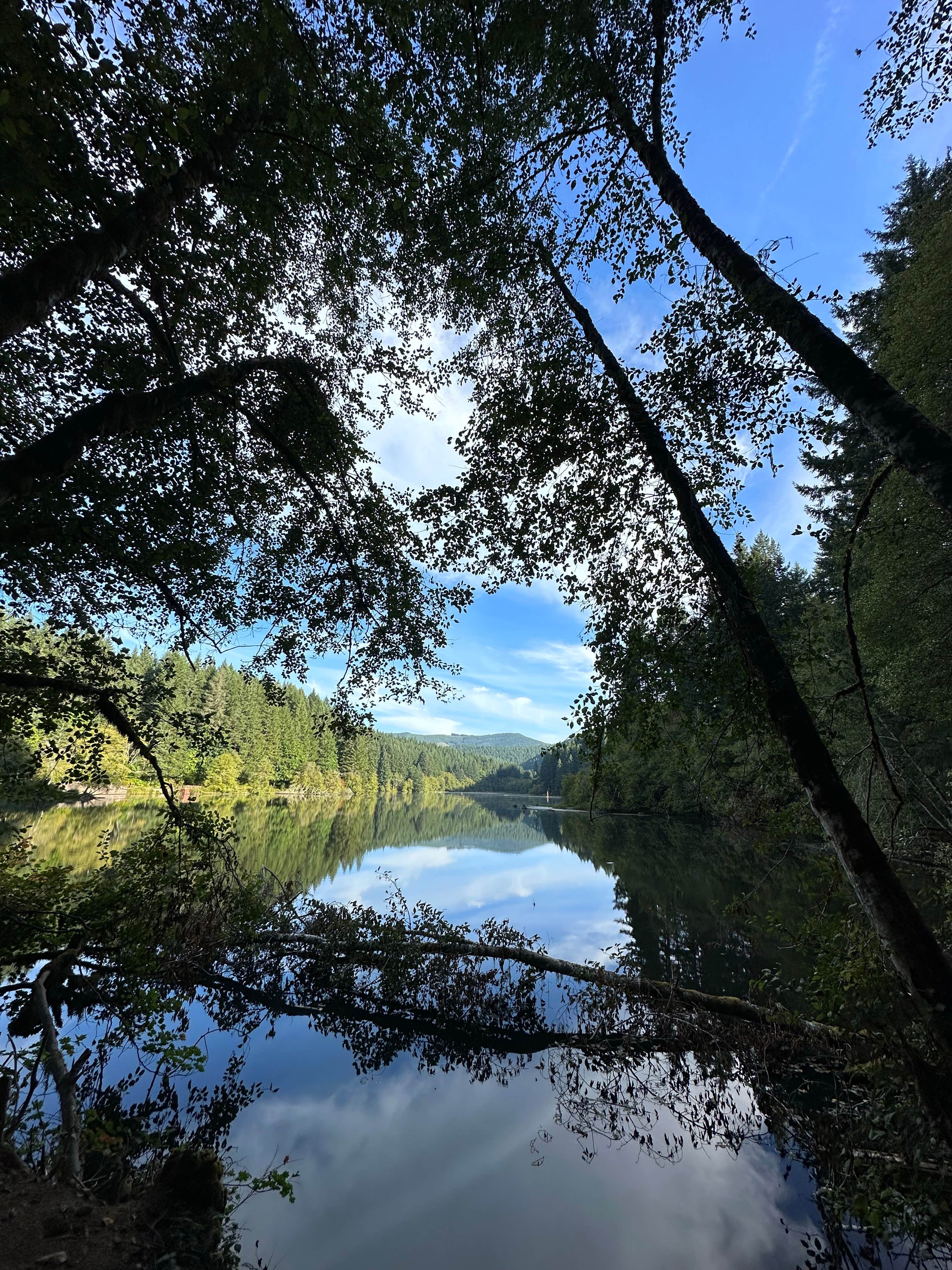Eric C.'s photo of a dispersed camping area at Hult Pond near Fern Ridge Lake