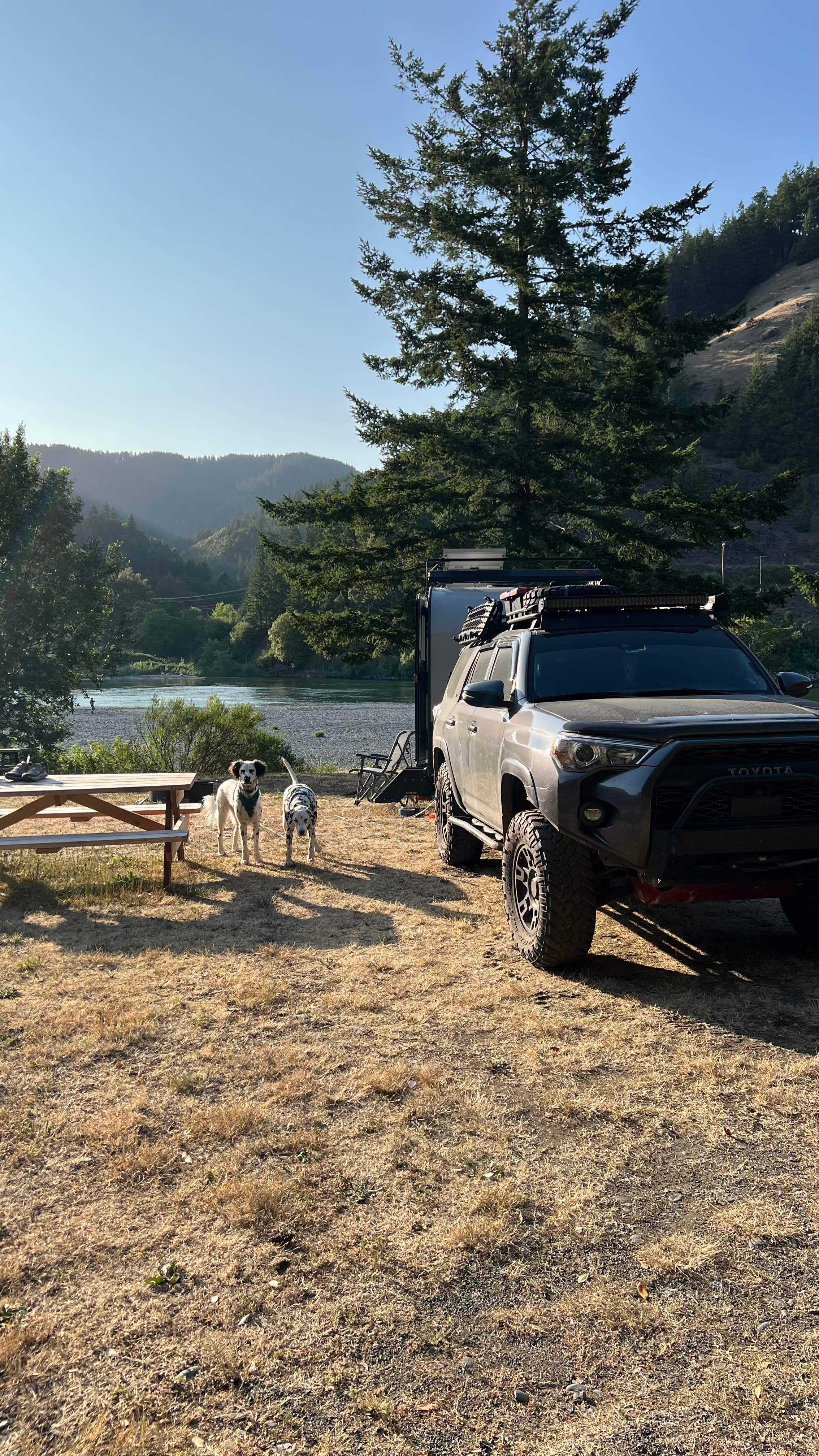 Jules S.'s photo of camping with pets at Huntley Park Campground near Ophir, OR