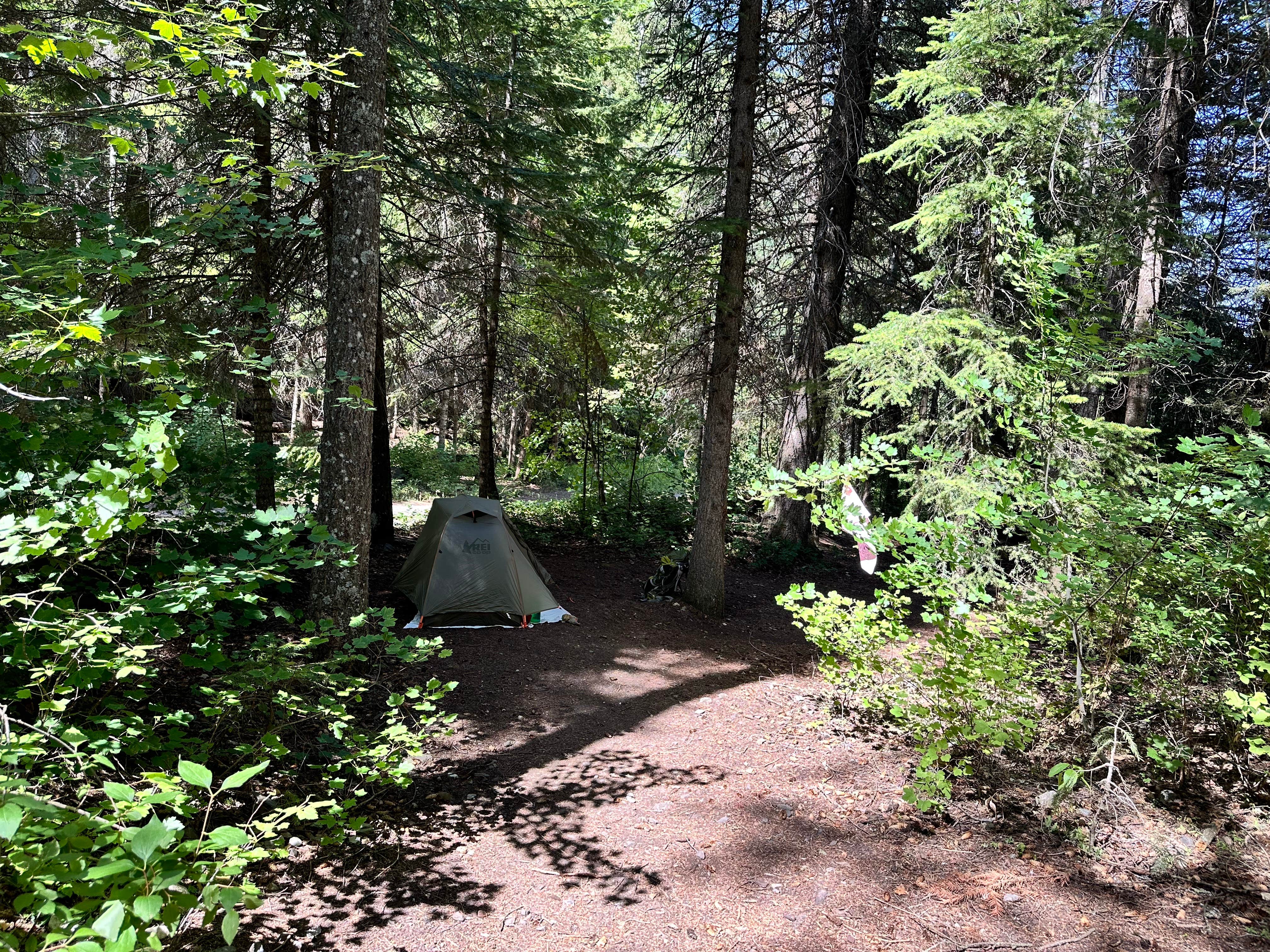 Deb H.'s photo at Hurricane Creek Campground near Cove, OR