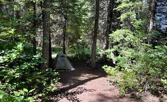 Deb H.'s photo of tent camping at Hurricane Creek Campground near Imnaha, OR
