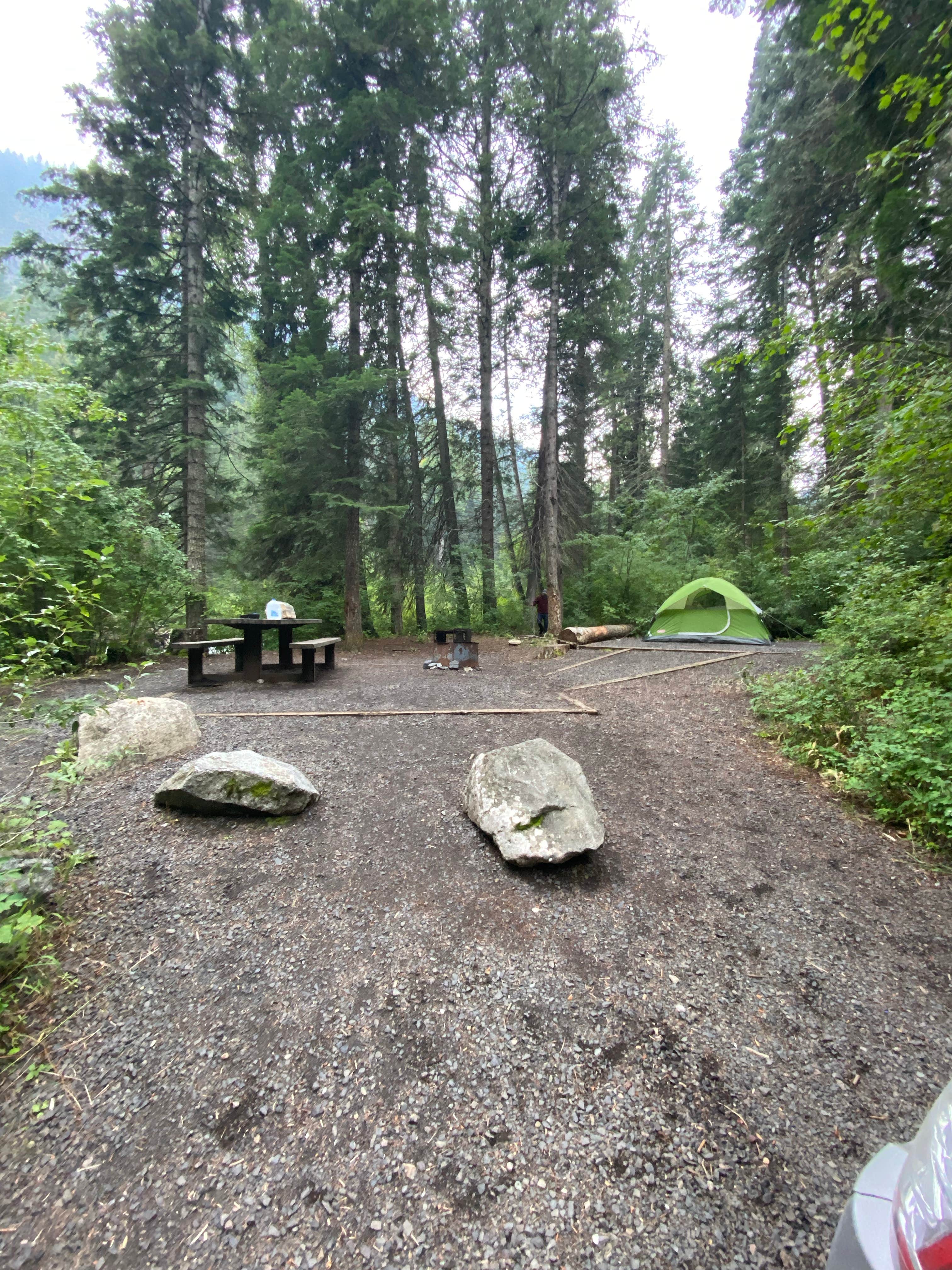Brooklyn P.'s photo at Hurricane Creek Campground near Lostine, OR
