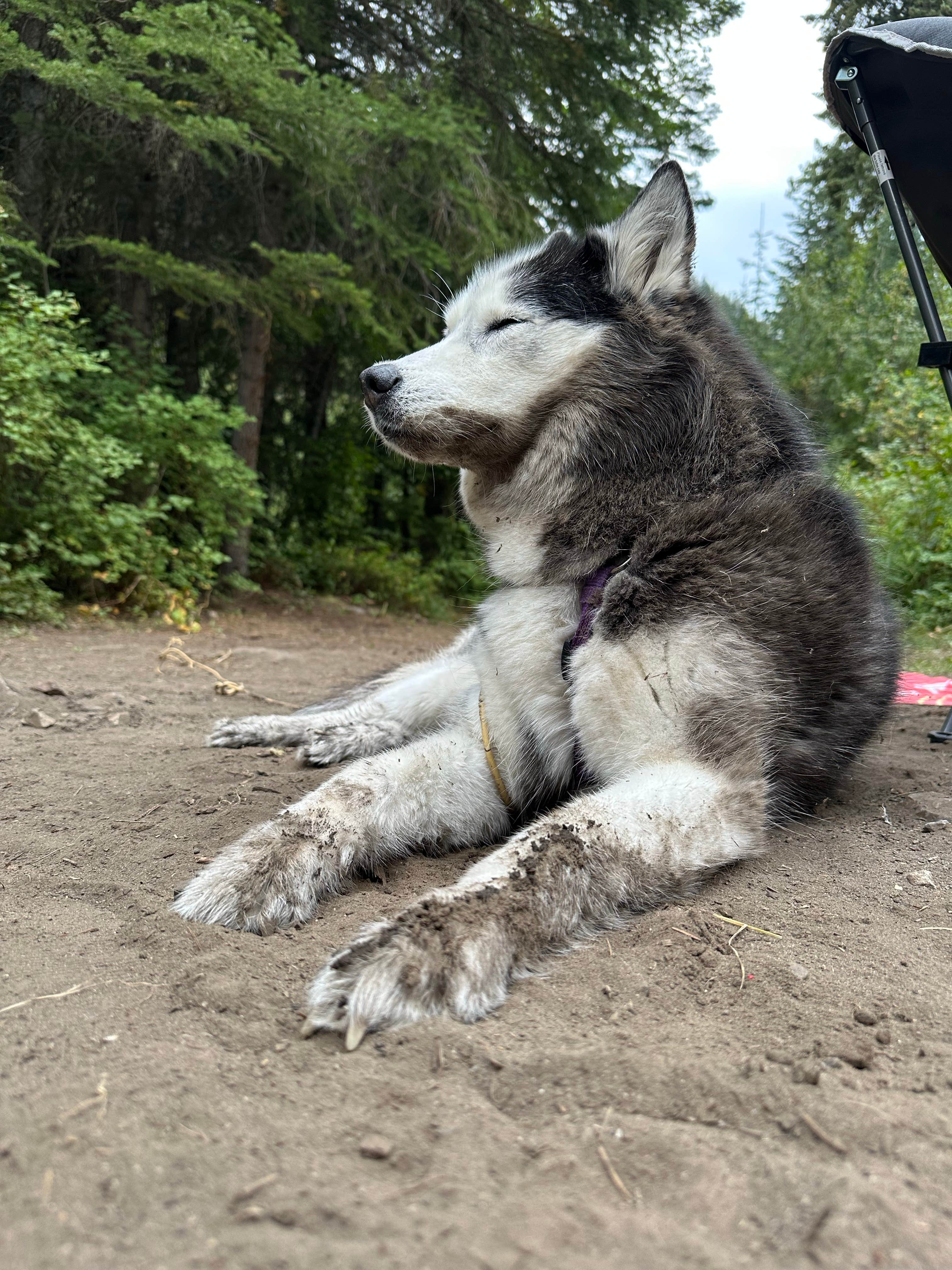 Kaitlyn P.'s photo of camping with pets at Hurricane Creek Campground near Richland, OR