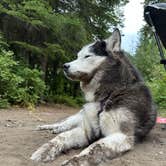 Review photo of Hurricane Creek Campground by Kaitlyn P., August 25, 2025