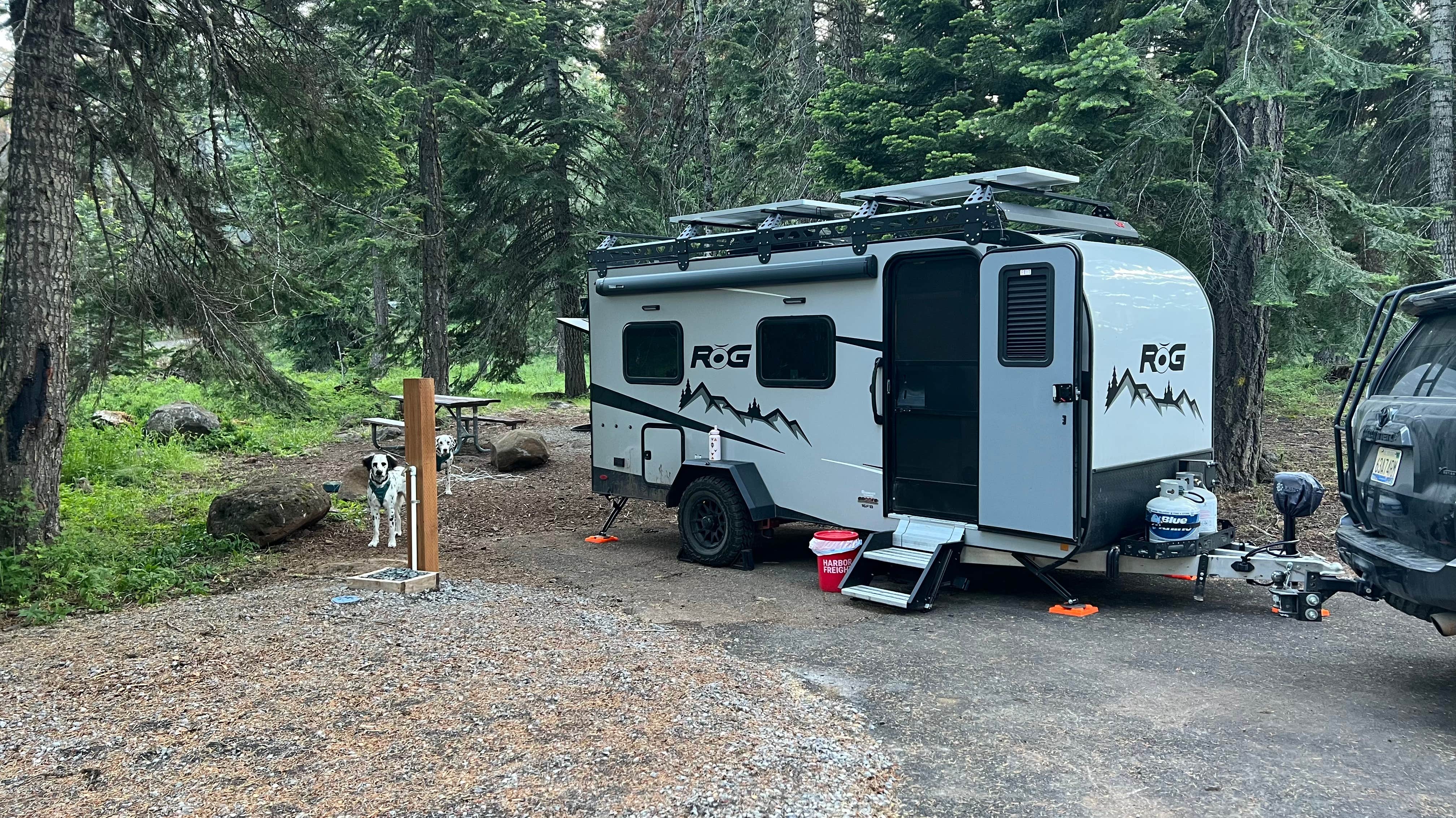 Jules S.'s photo of camping with pets at Hyatt Lake Recreation Area near Montague, CA