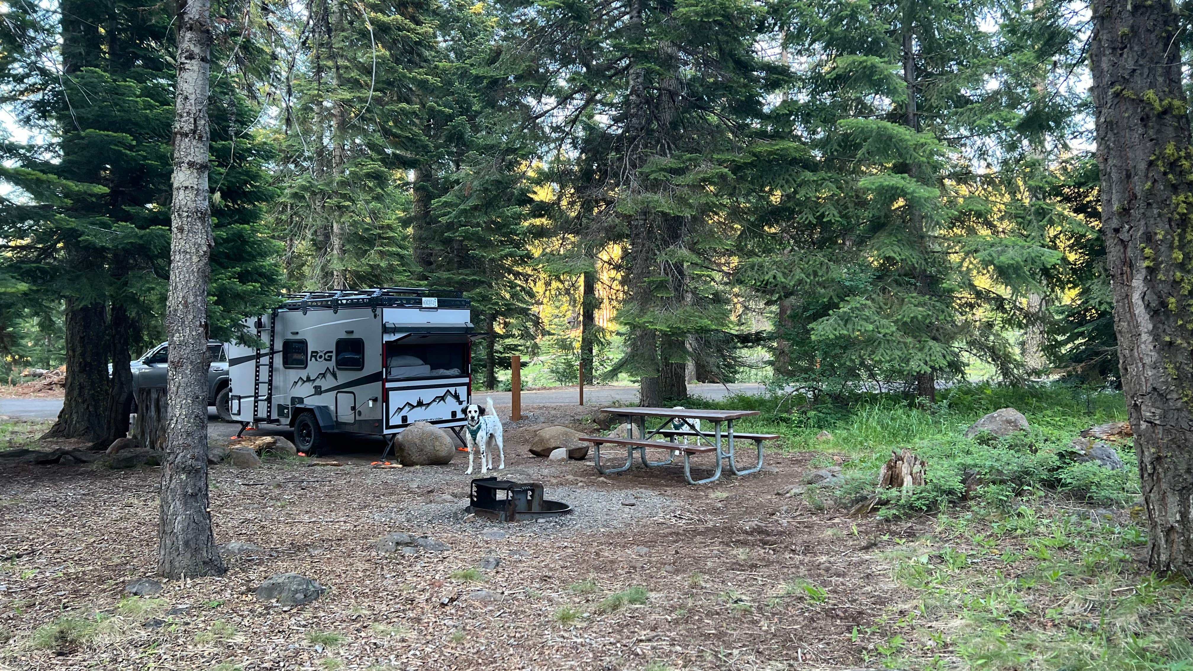 Camper submitted image from Hyatt Lake Recreation Area - 5