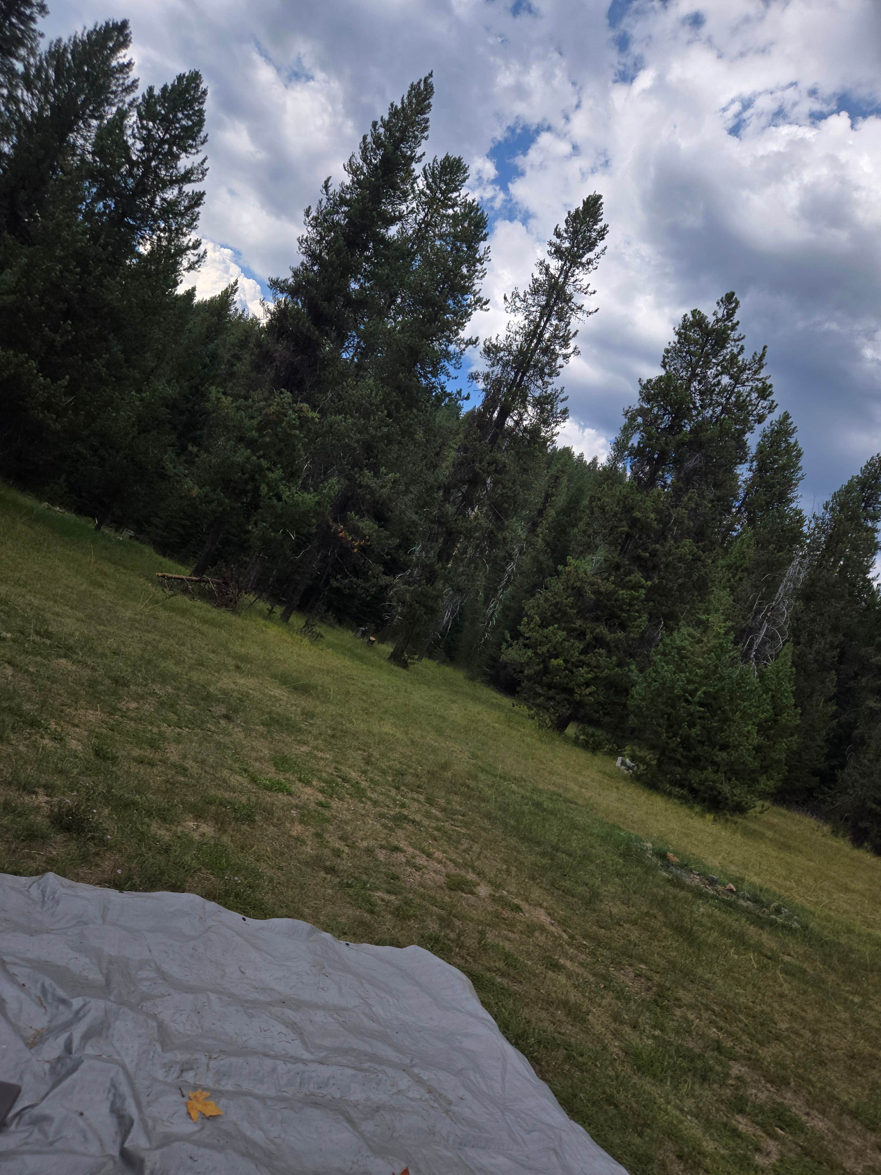 Camper submitted image from Inlet Campground - 4