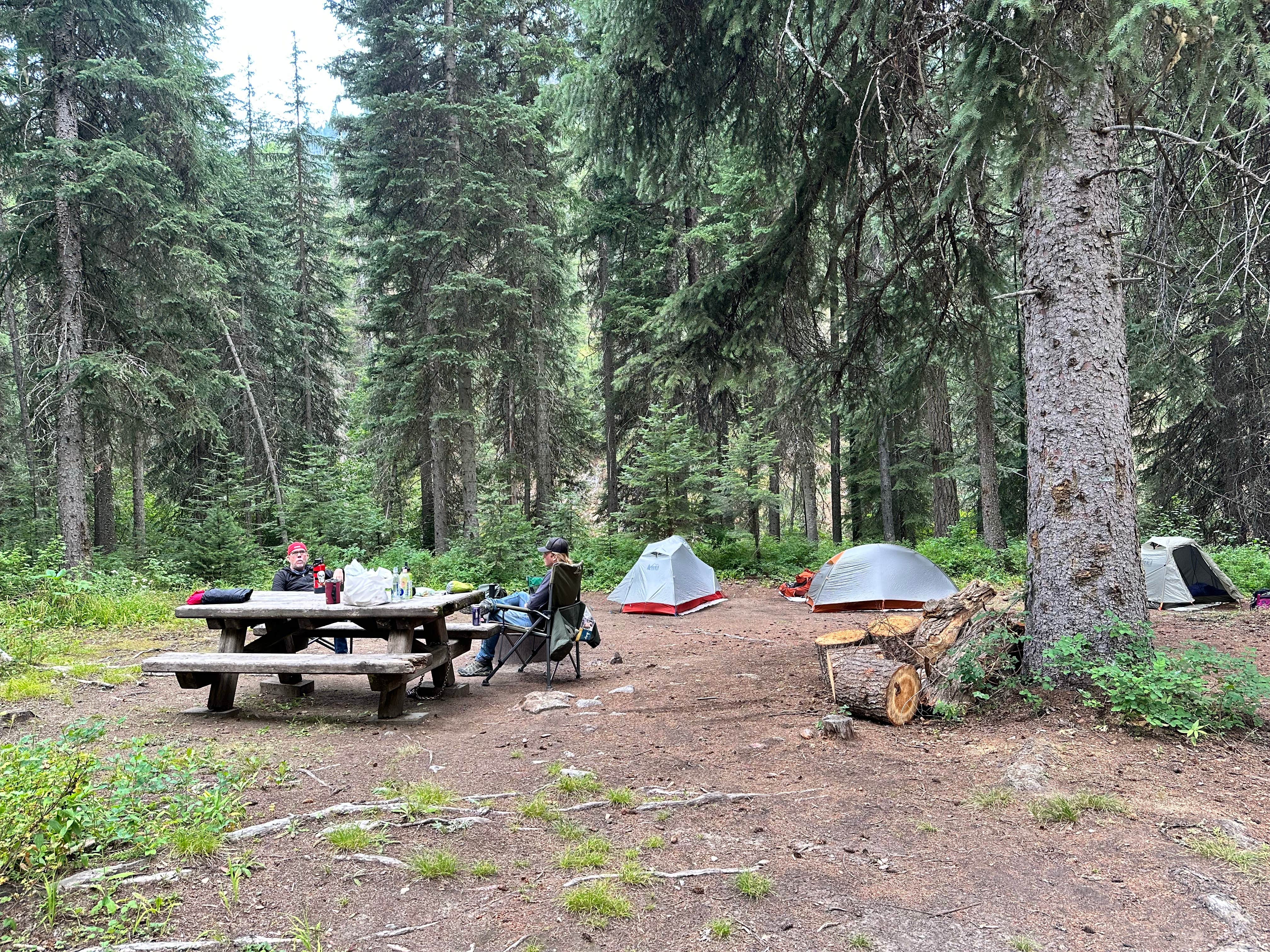 Camping near Hurricane Creek Campground: Irondyke Forest Camp, Joseph, Oregon