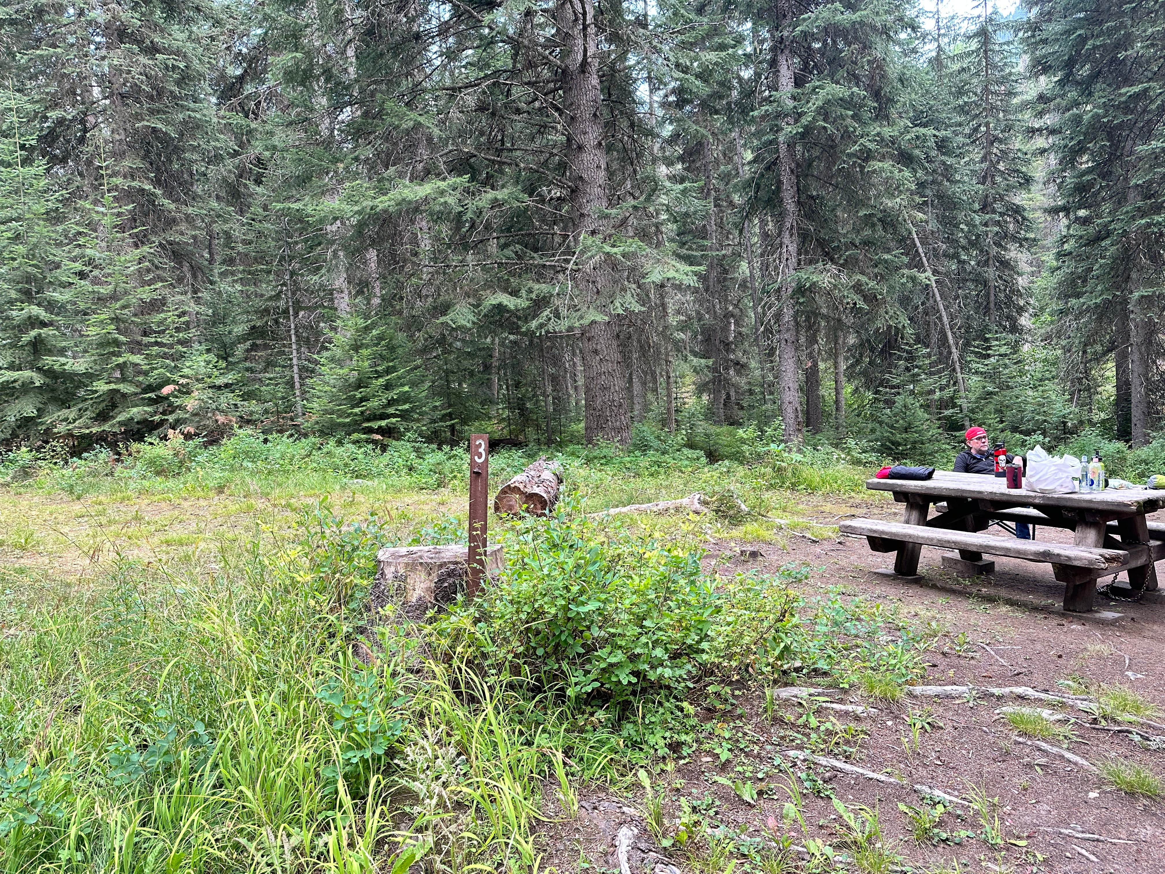 Camper-submitted photo at Irondyke Forest Camp near Wallowa-Whitman National Forest
