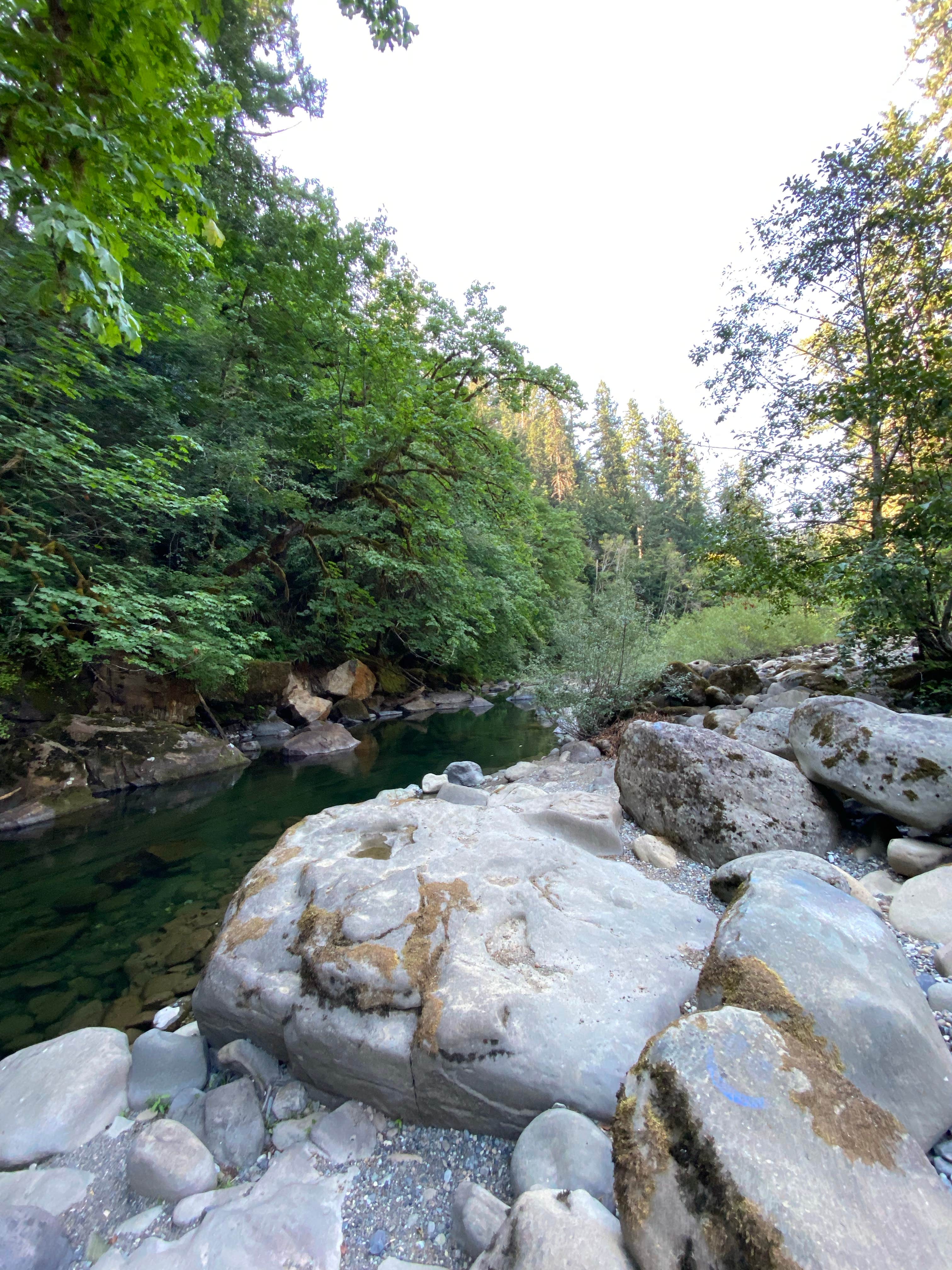 Camper-submitted photo at Island Campground near Powers, OR