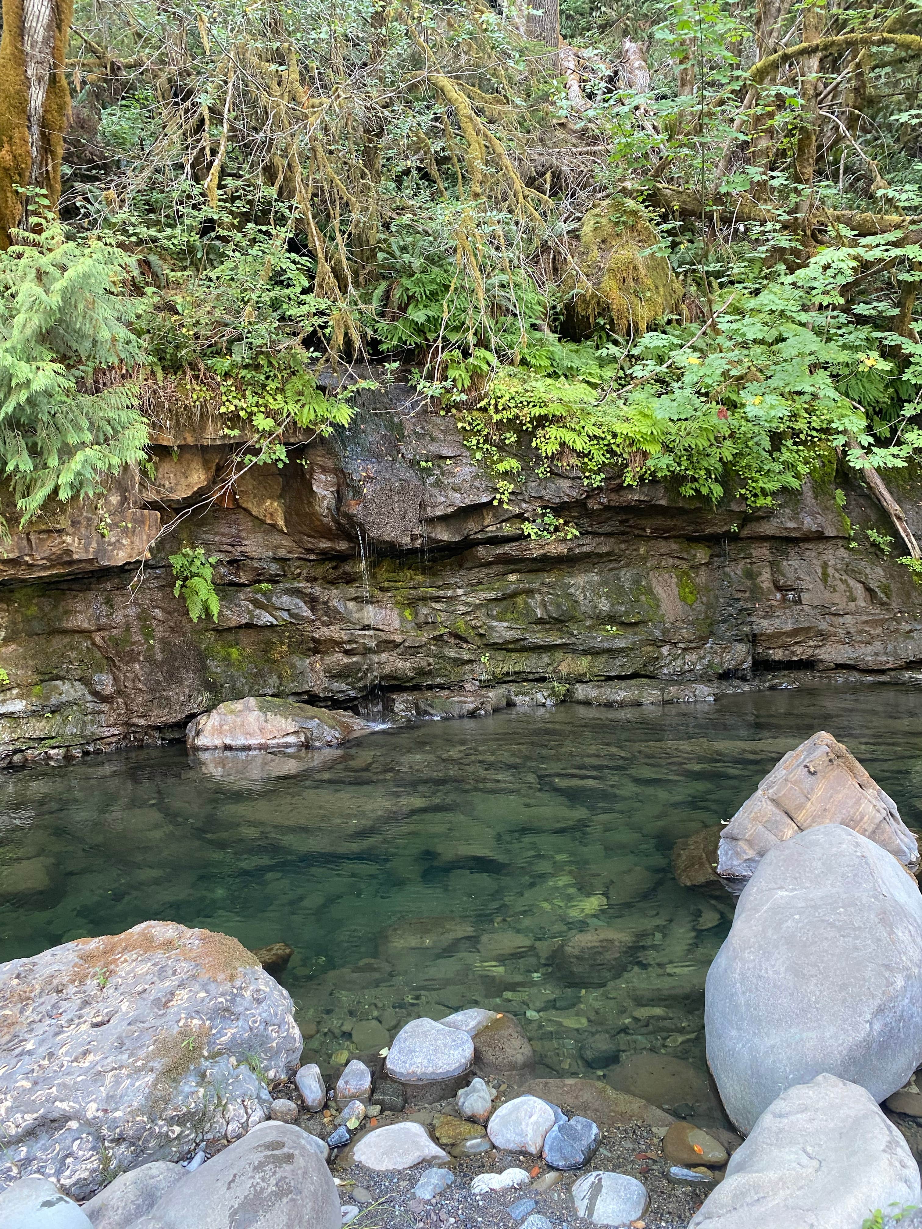 Camper-submitted photo at Island Campground near Powers, OR