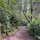 Review photo of Jessie M. Honeyman Memorial State Park Campground by Kari S., April 23, 2026