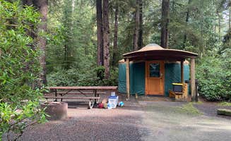 Nicole L.'s photo of a cabin at Jessie M. Honeyman Memorial State Park Campground near Siuslaw National Forest