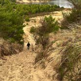 Review photo of Jessie M. Honeyman Memorial State Park Campground by Teresa A., January 5, 2026